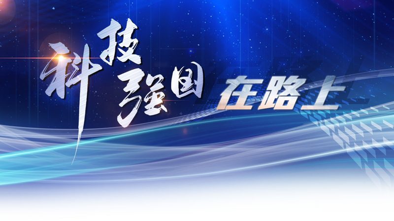 API网关安全策略与WAF：本质区别与适用场景解析